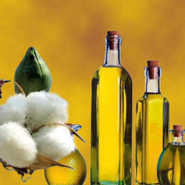 COTTONSEED-OIL